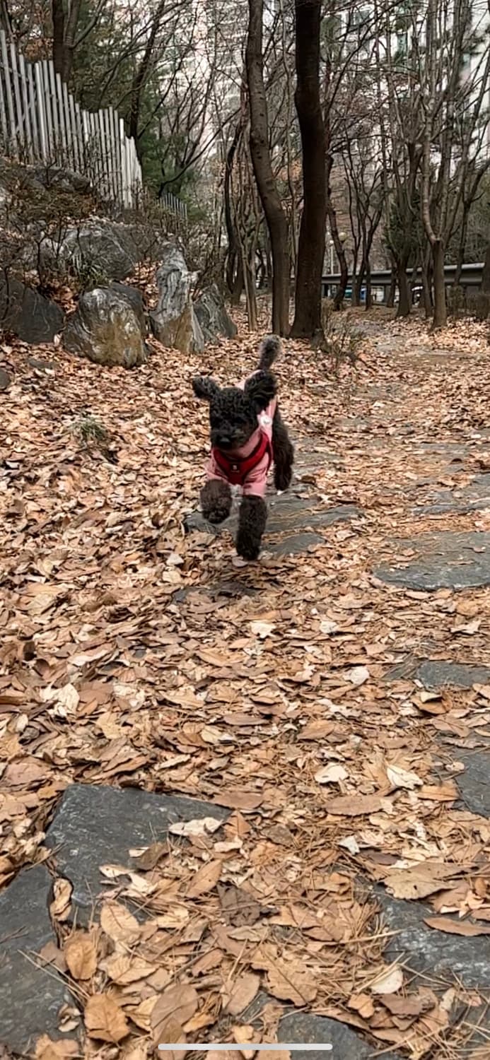  결제창 상품이미지1