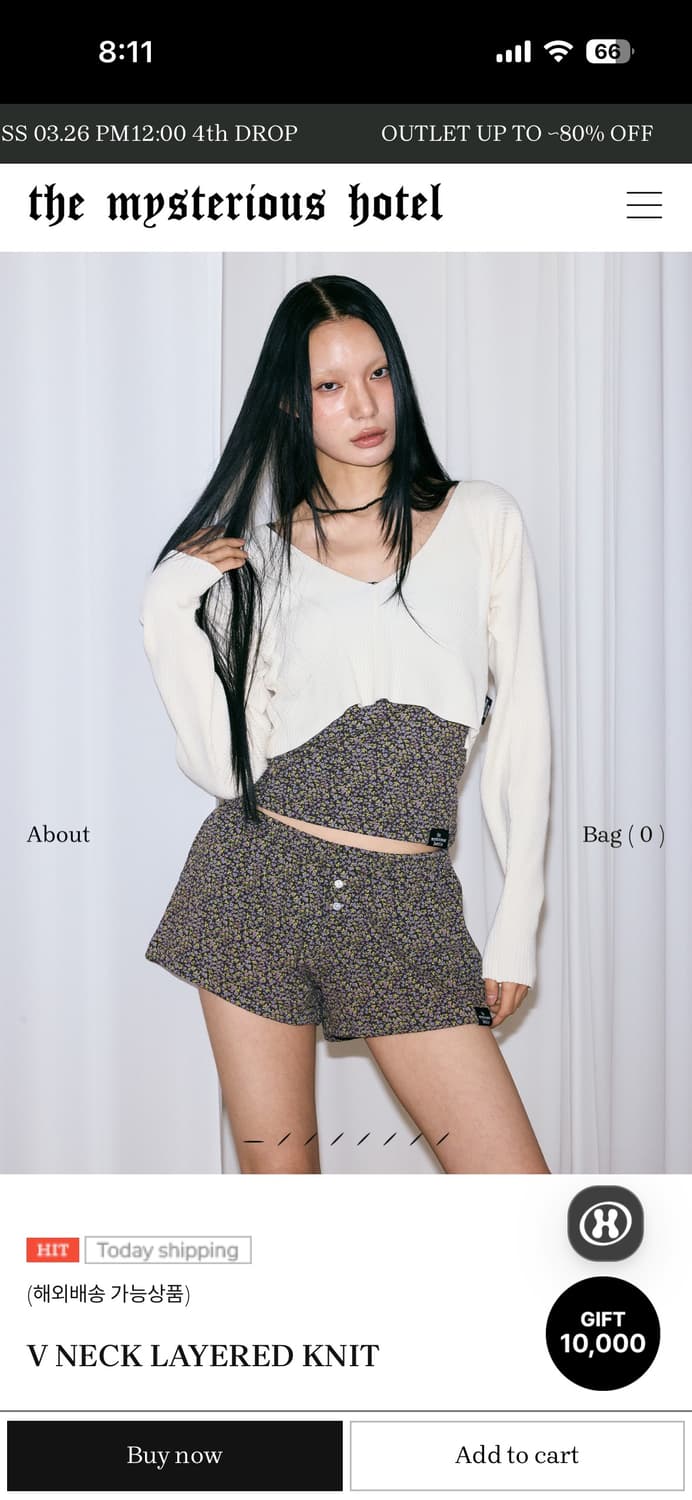 더미스테리어스호텔 브이넥 니트 상품이미지1