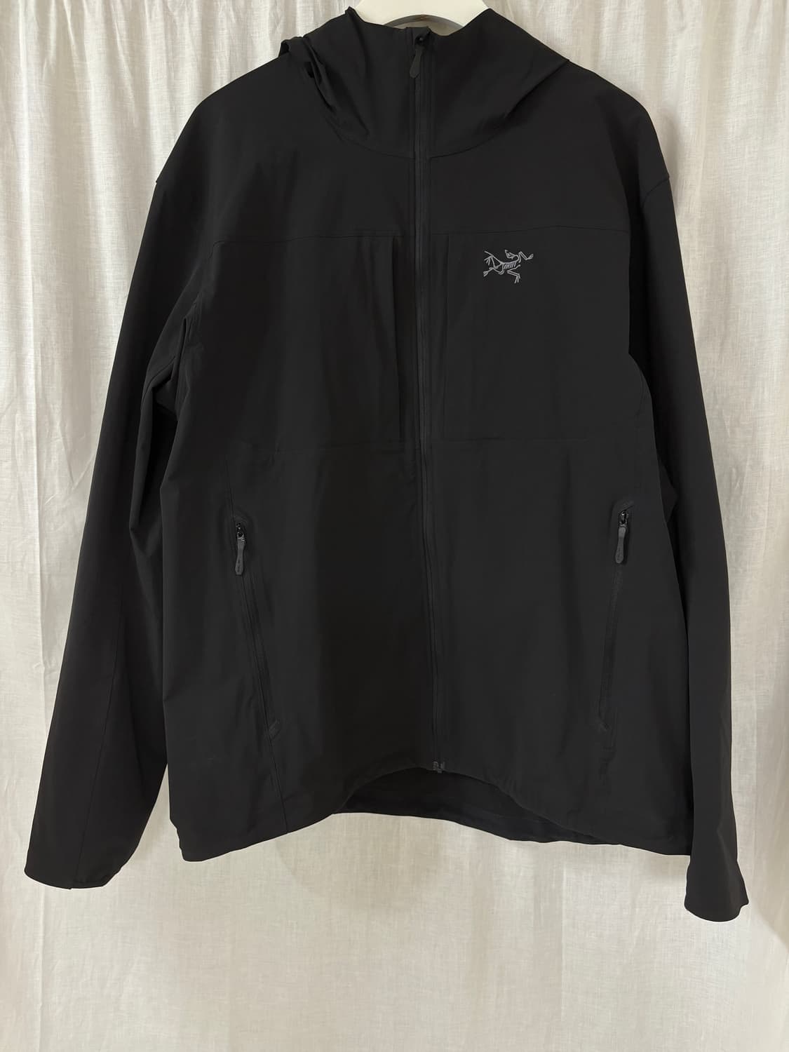 [L] 아크테릭스 감마 라이트웨이트 후디 맨 상품이미지1