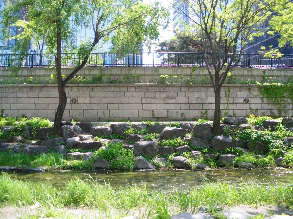 디카) 펜탁스 옵티오 m50, Pentax optio m50 / 작례O 상품이미지2