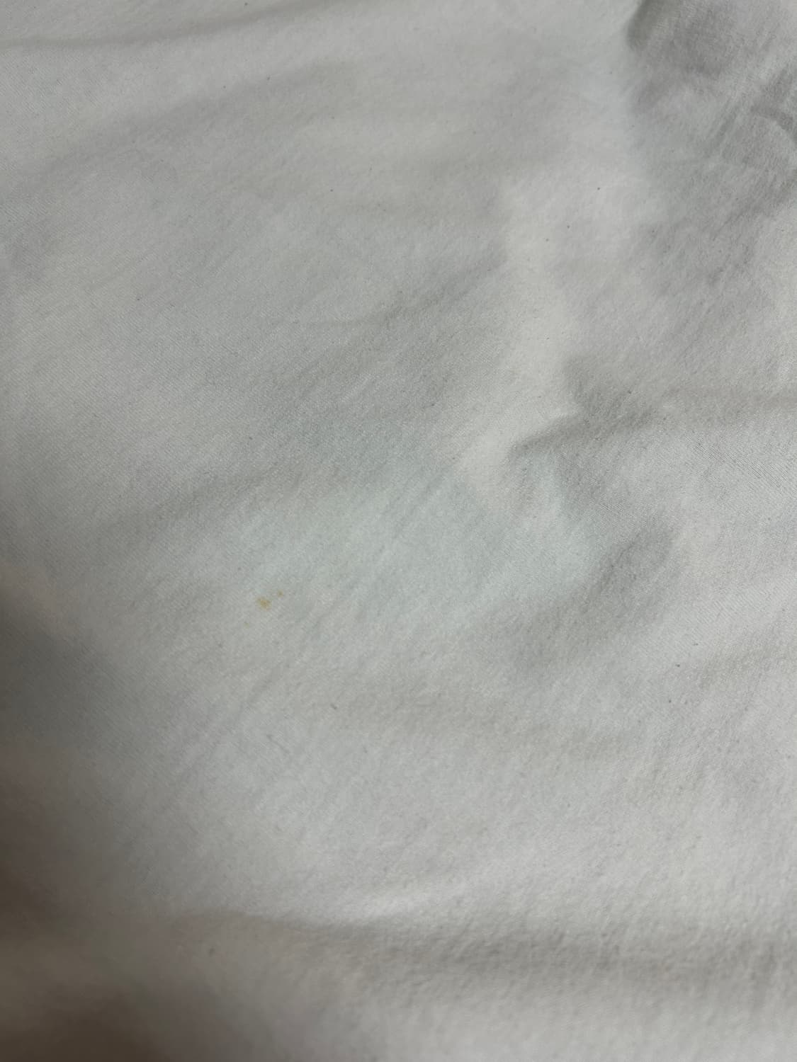 베이프 컬리지 티셔츠 화이트(정품) size(M) 상품이미지6