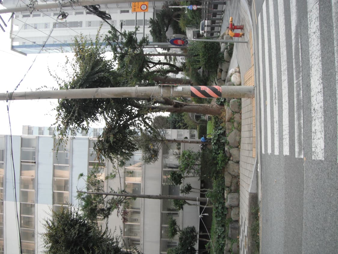 (작례o) 후지필름 finepix xp10 디카  상품이미지8