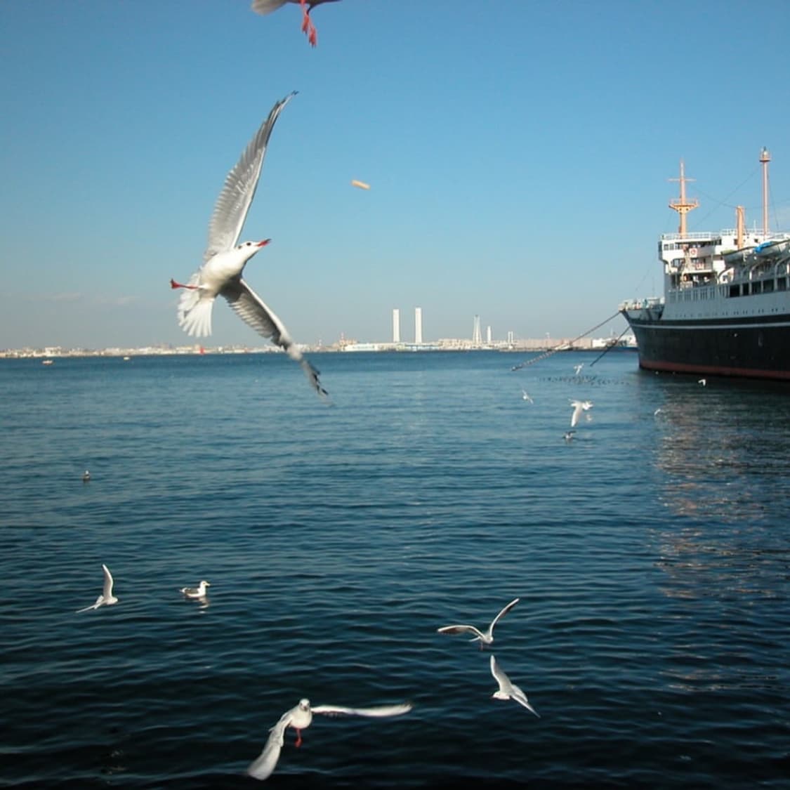 니콘 쿨픽스 Nikon COOLPIX P5000 실버 상품이미지3