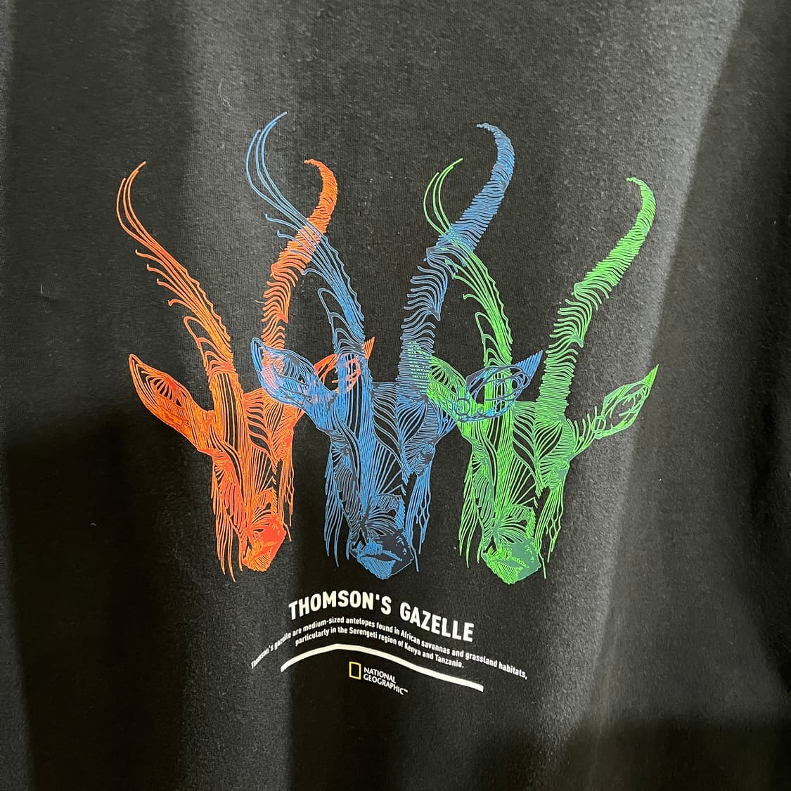 (XXL) 네셔널지오그래픽 톰슨가젤 맨투맨 스웻셔츠 상품이미지3