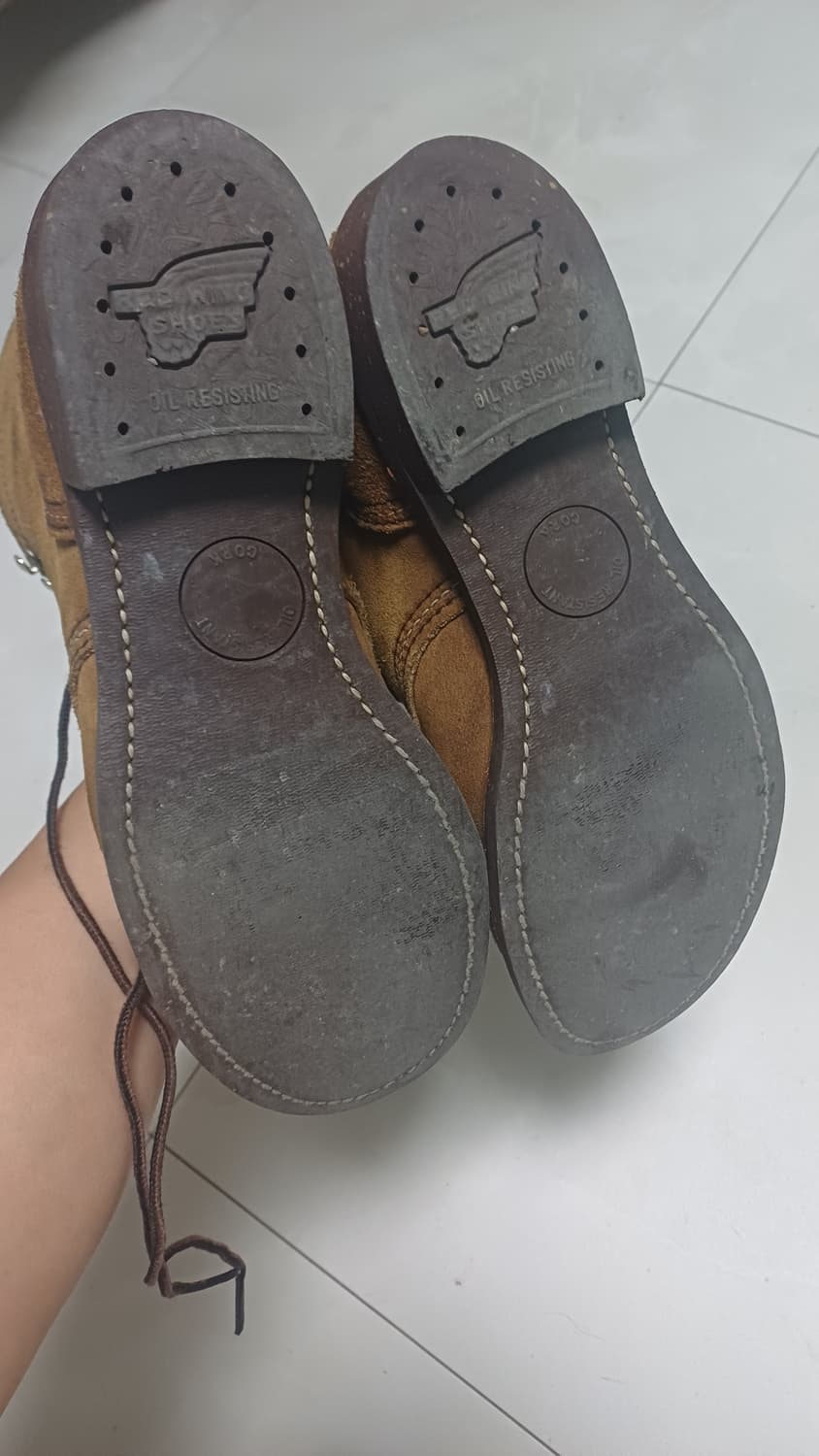 레드윙 8113 260 상품이미지4