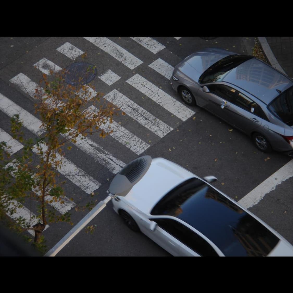 소니 DSC-T5  로즈 골드 메탈릭 빈티지 디카 디지털카메라 상품이미지8