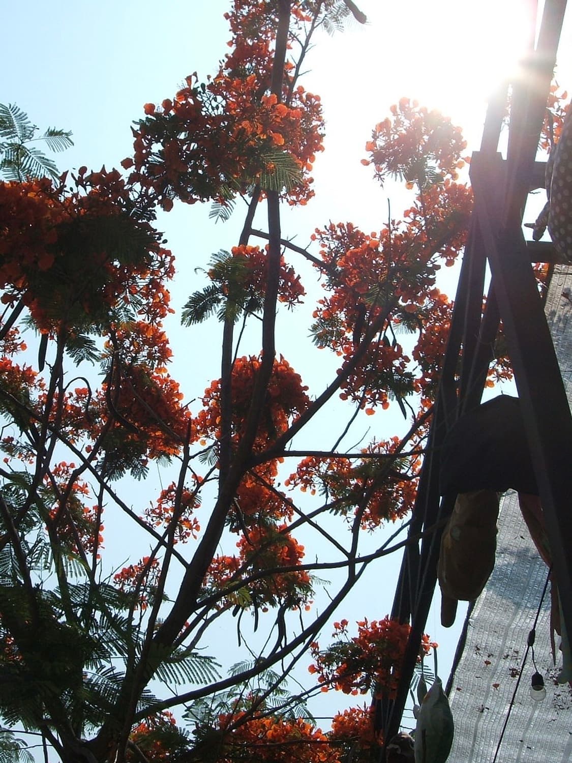 후지필름 파인픽스 f455 상품이미지2