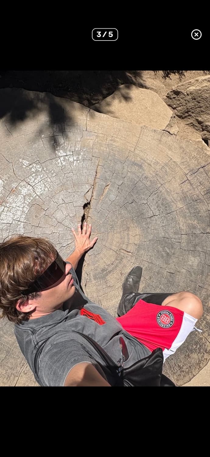 발렌시아가 팬서 마스크  상품이미지5