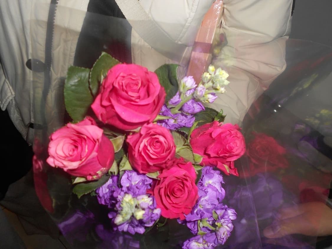 희귀 ) canon ixus 245HS / ixy 430F 디카 상품이미지6