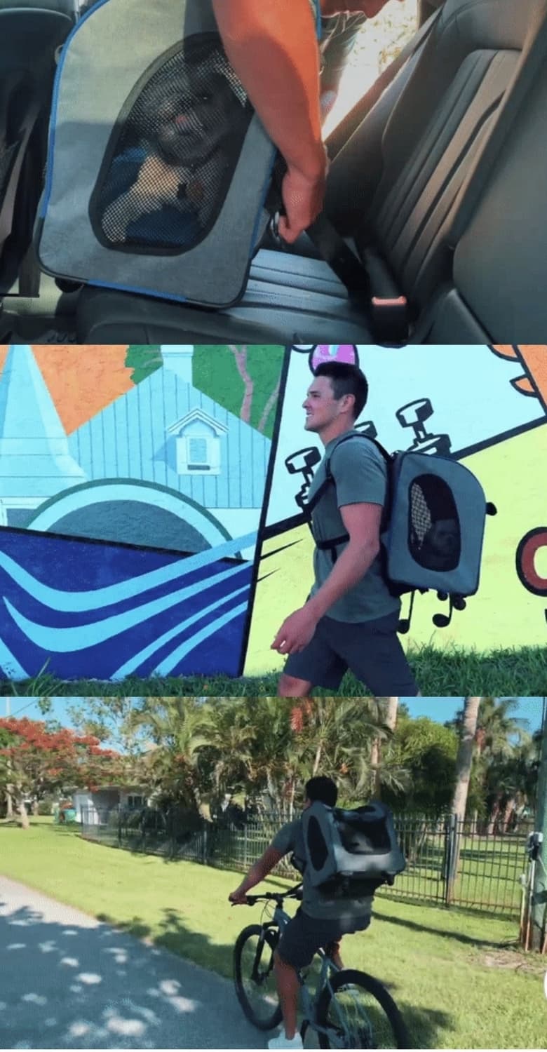 반려견 반려묘 이비야야 캐리어 백팩 이동가방 상품이미지2