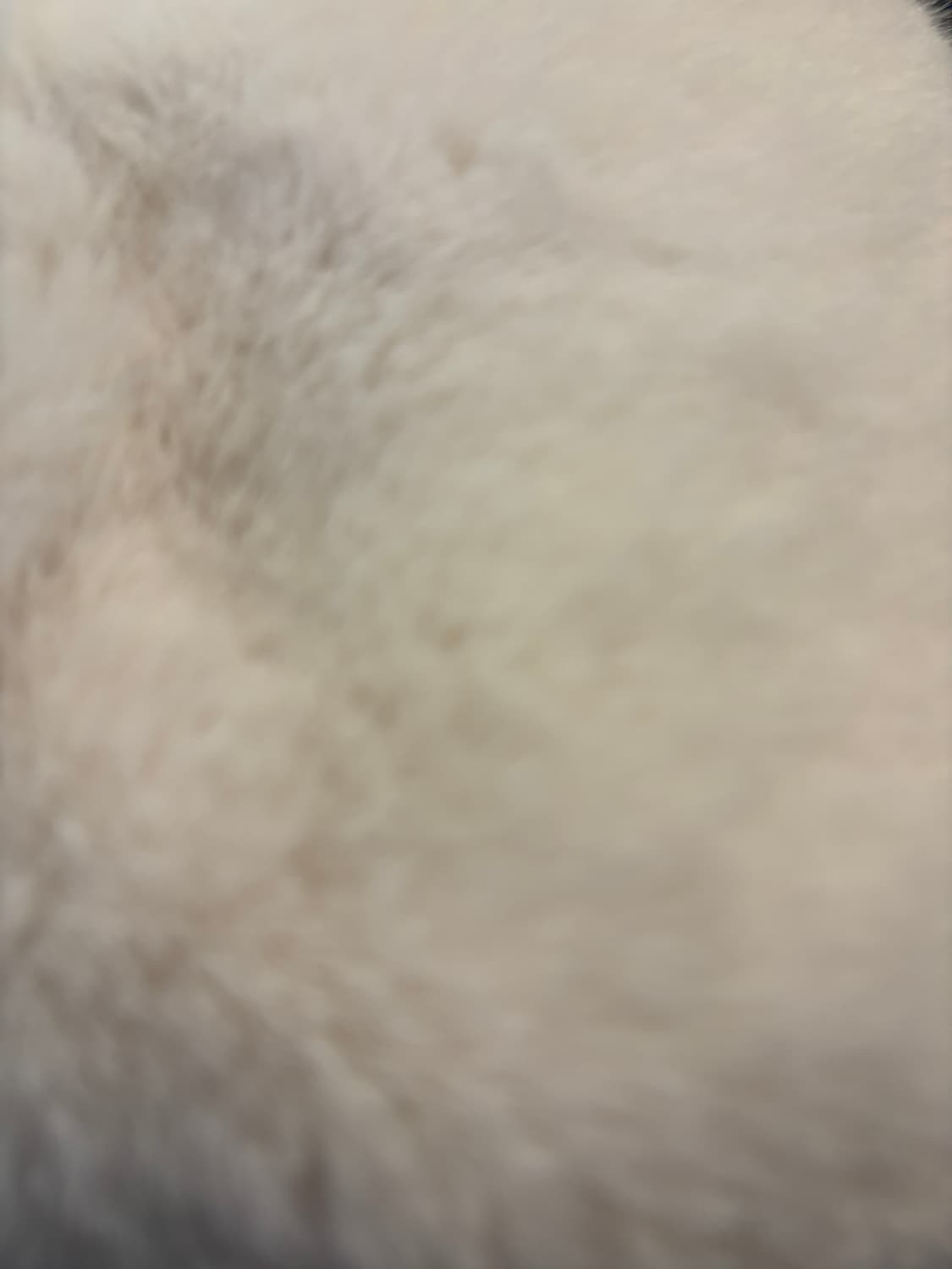 개인결제창 -모자2개 상품이미지1