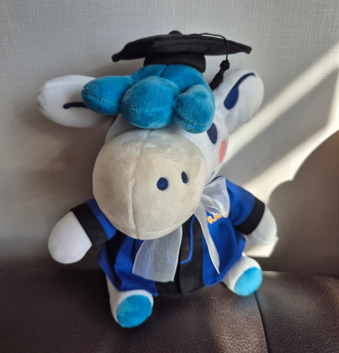 차차 충남대 졸업생 인형 상품이미지1