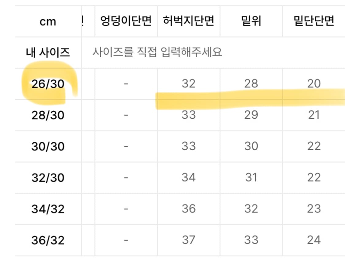 폴라스케이트 93 pants - brown blue 상품이미지8