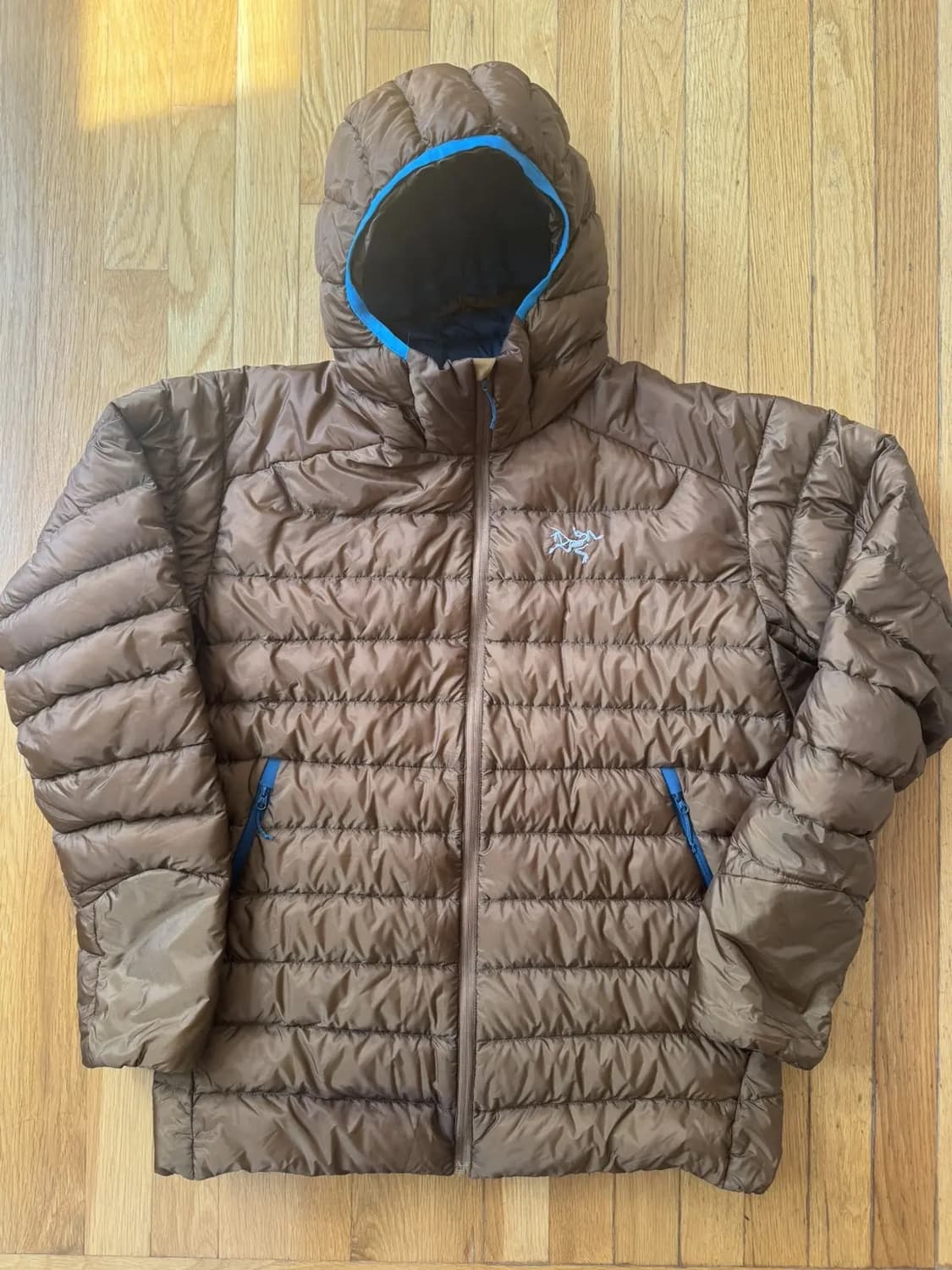 빈티지 아크테릭스 세륨 후디 라지 상품이미지1