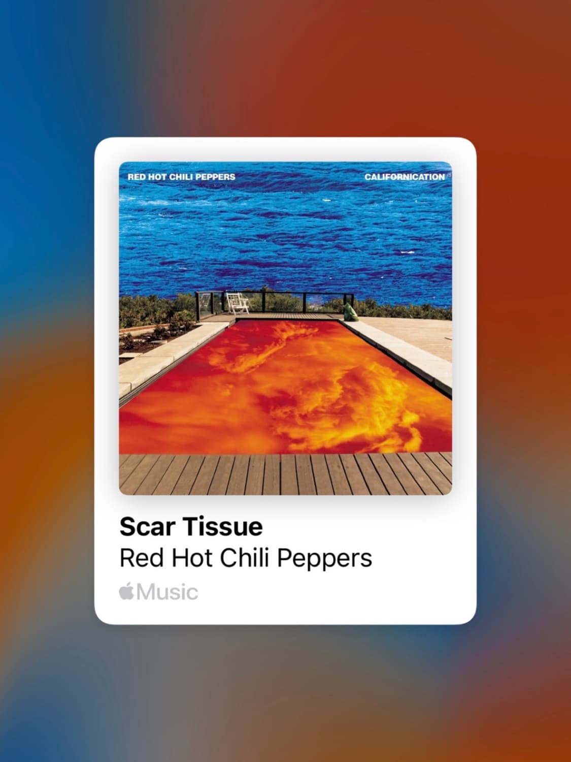 Bracelet - Scar Tissue 🩹 상품이미지2