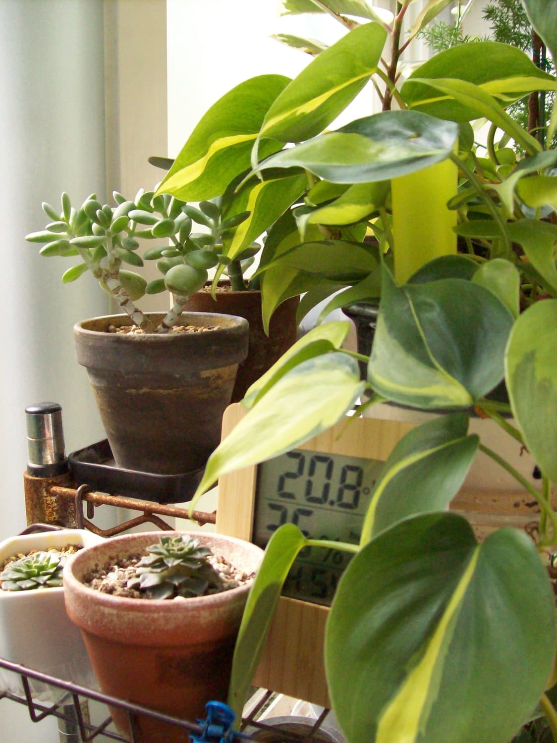 코닥 이지쉐어 c613 블랙 상품이미지2