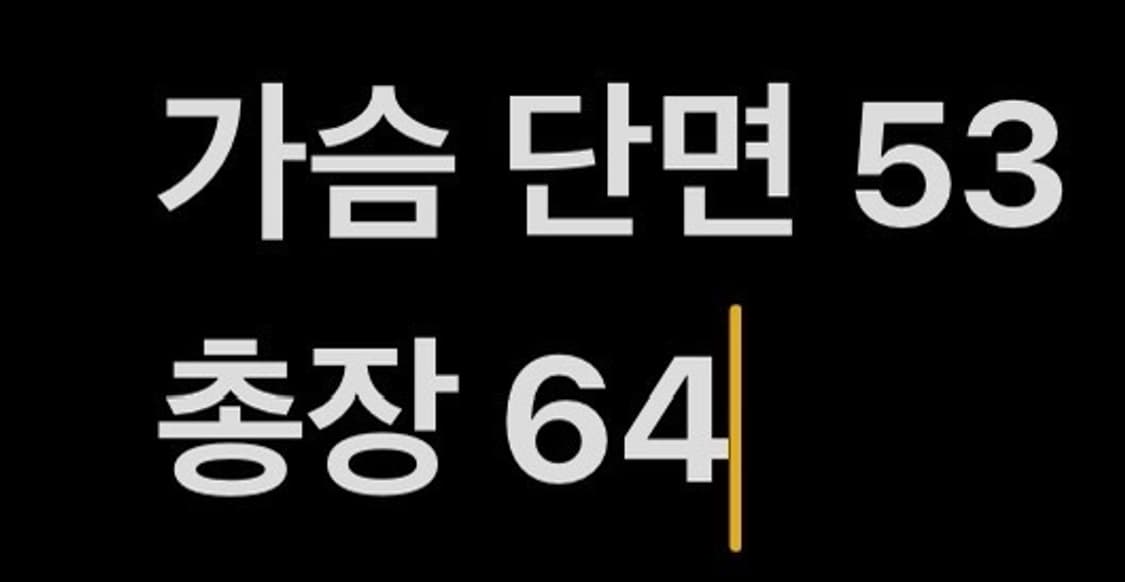 [정품/S] 파타고니아 신칠라 플리스 투톤 풀오버 b15 상품이미지8