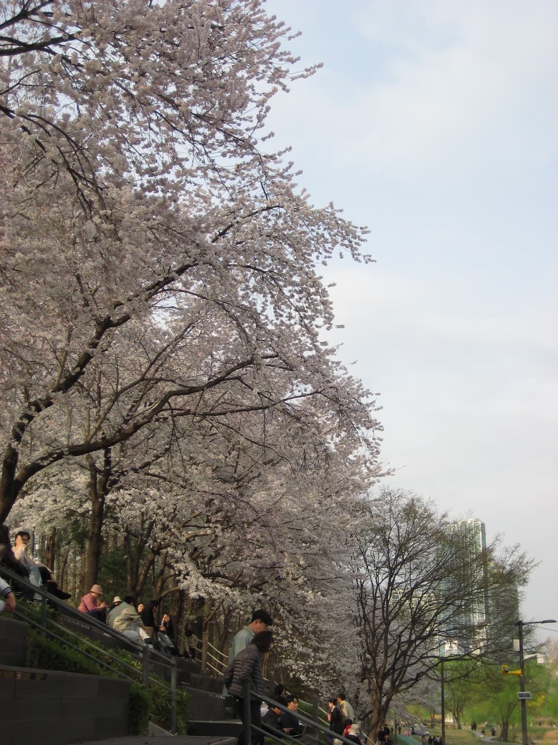 캐논 익서스 65 상품이미지5