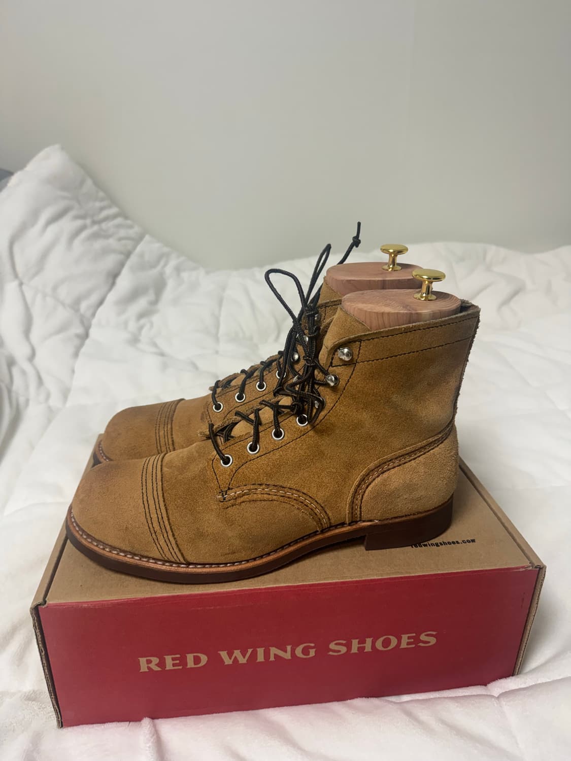 레드윙 8083 8.5 EE 팩토리세컨 상품이미지2