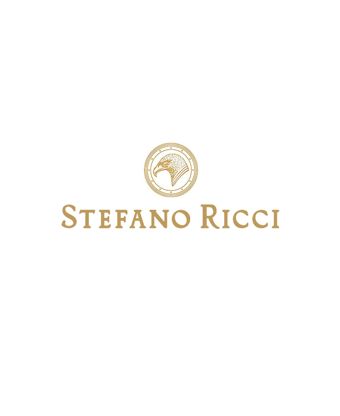 스테파노 리치 [Stefano Ricci] 럭셔리 실크 페이즐리 타이 상품이미지6