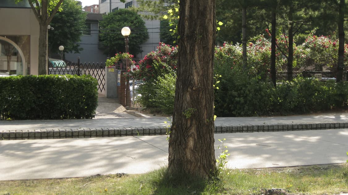 캐논 익시 canon ixy 810 is  상품이미지6
