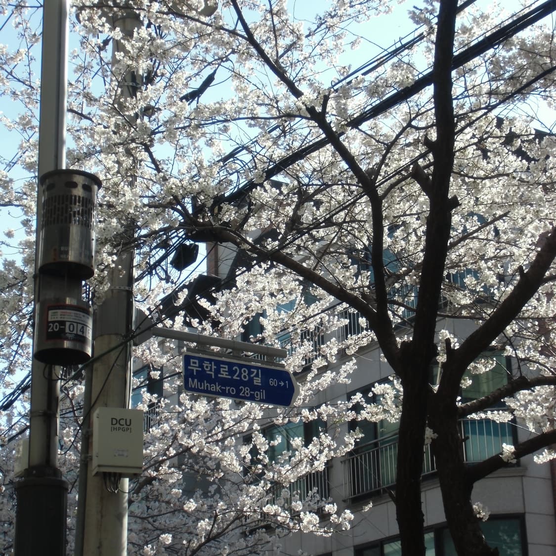 CASIO ZS160 상품이미지10