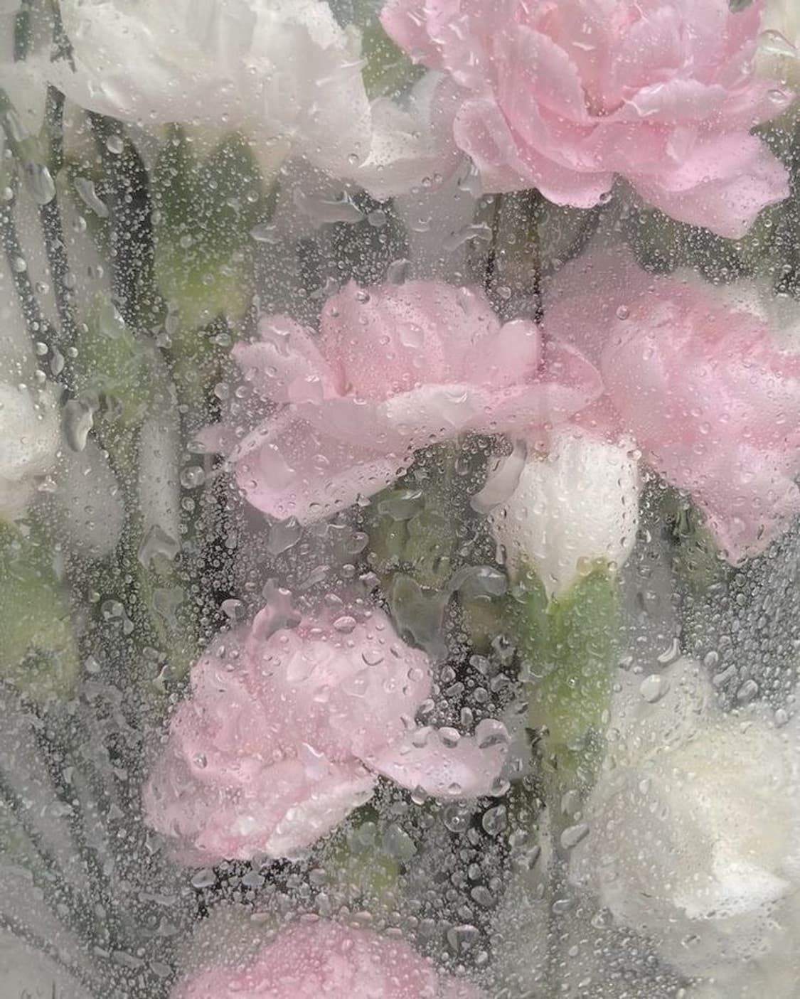 아디다스 복서 데님팬츠 블랙 상품이미지1