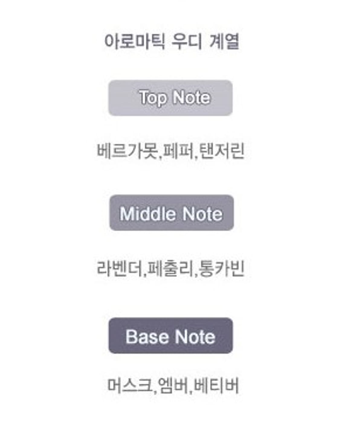 메르세데스 벤츠 맨  블루 오드뚜왈렛 100ml 상품이미지4