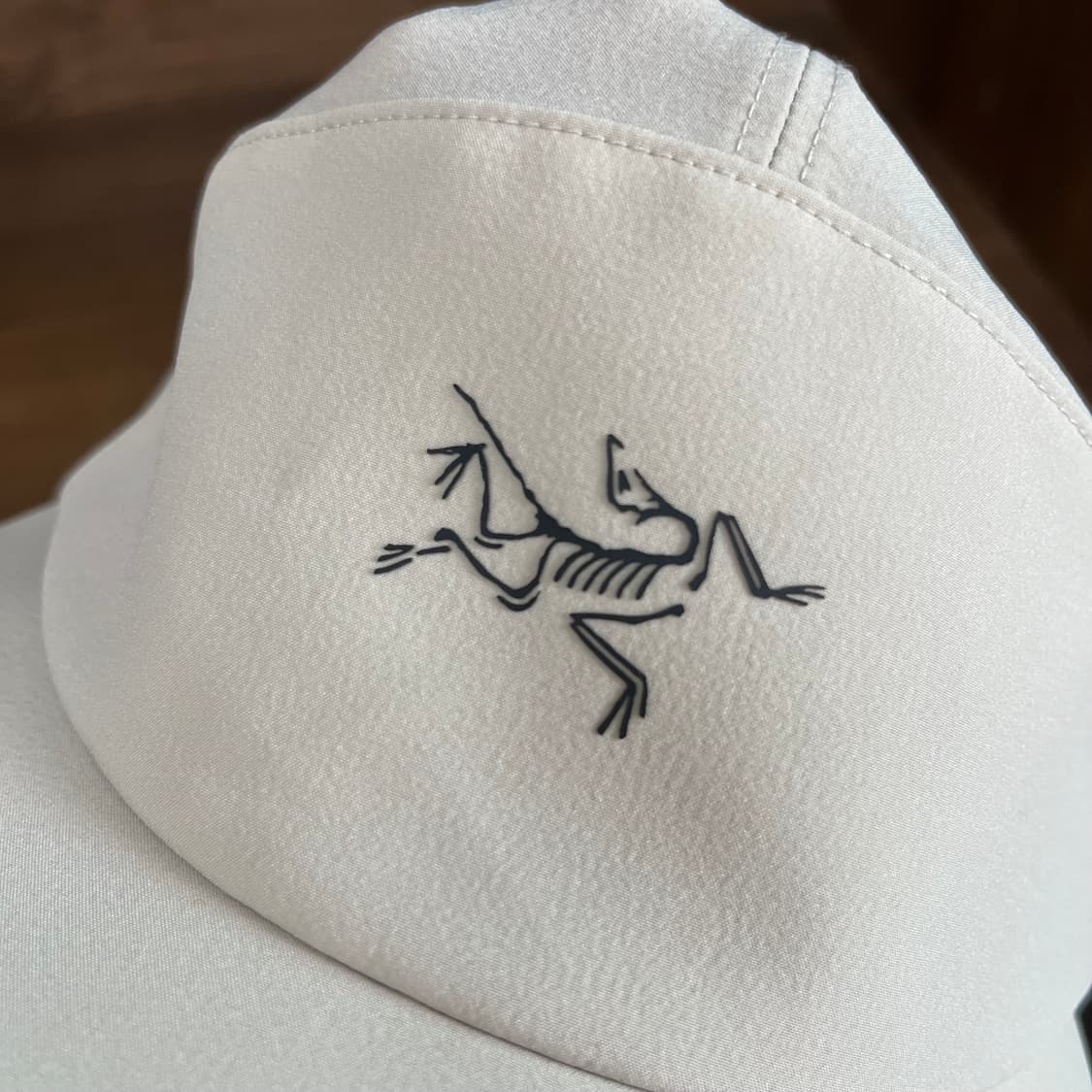 (L-XL) 아크테릭스 감마 5 패널 캡 룬 블랙 상품이미지2