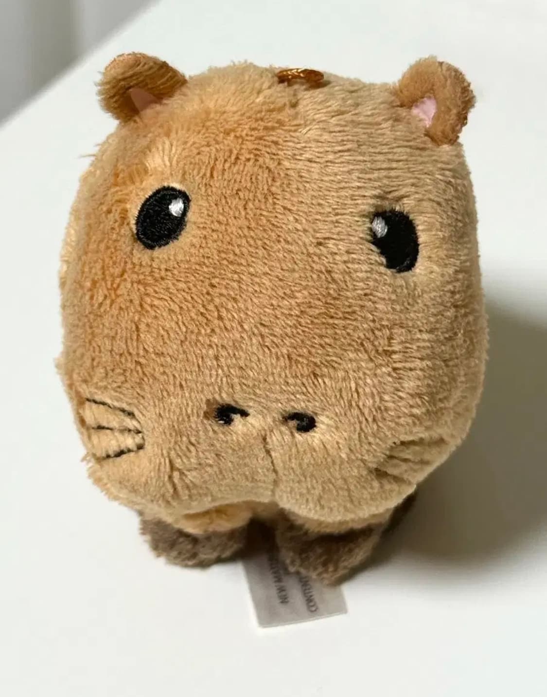 스토리오브 카피바라 기니피그 리쿠 인형 상품이미지1