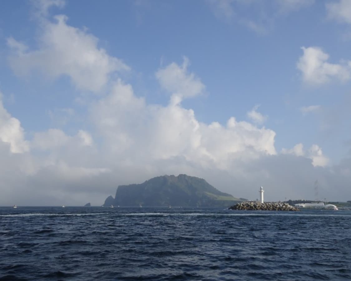 파나소닉 루믹스 DMC-FZ30 디카 (디지털 카메라) 상품이미지8