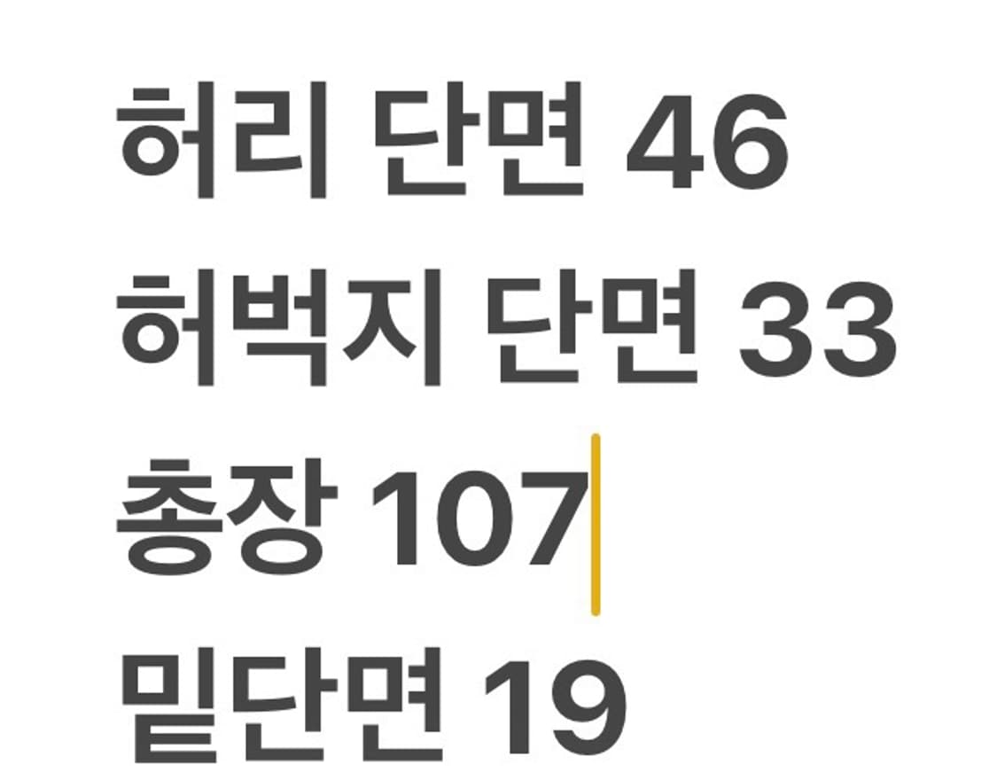 [정품/M] 리바이스 청바지 데님 팬츠 b10 상품이미지8