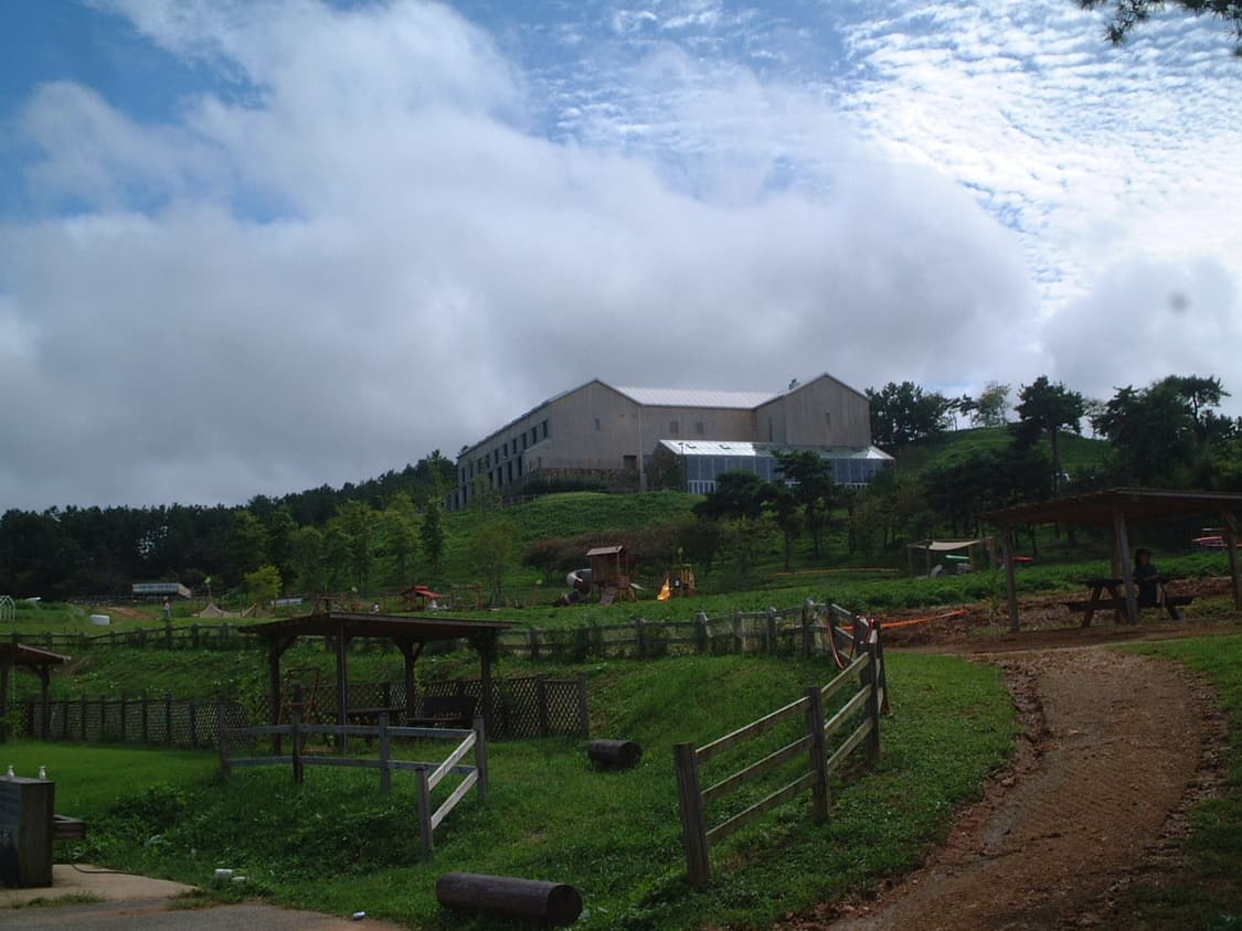 후지필름 파인픽스 50i 판매합니다(작례 참고) 상품이미지5