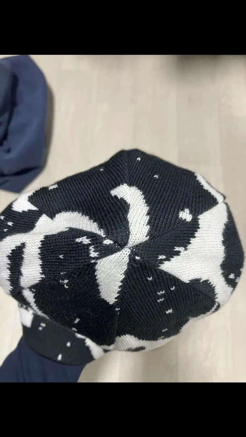 아크테릭스 비니 상품이미지3