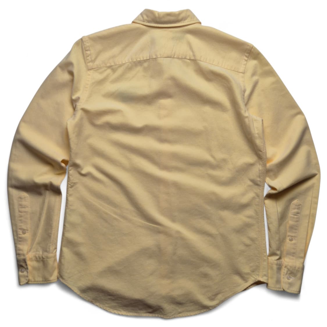 [90] 폴로 랄프로렌 옥스포드 셔츠 강아지자수 상품이미지8