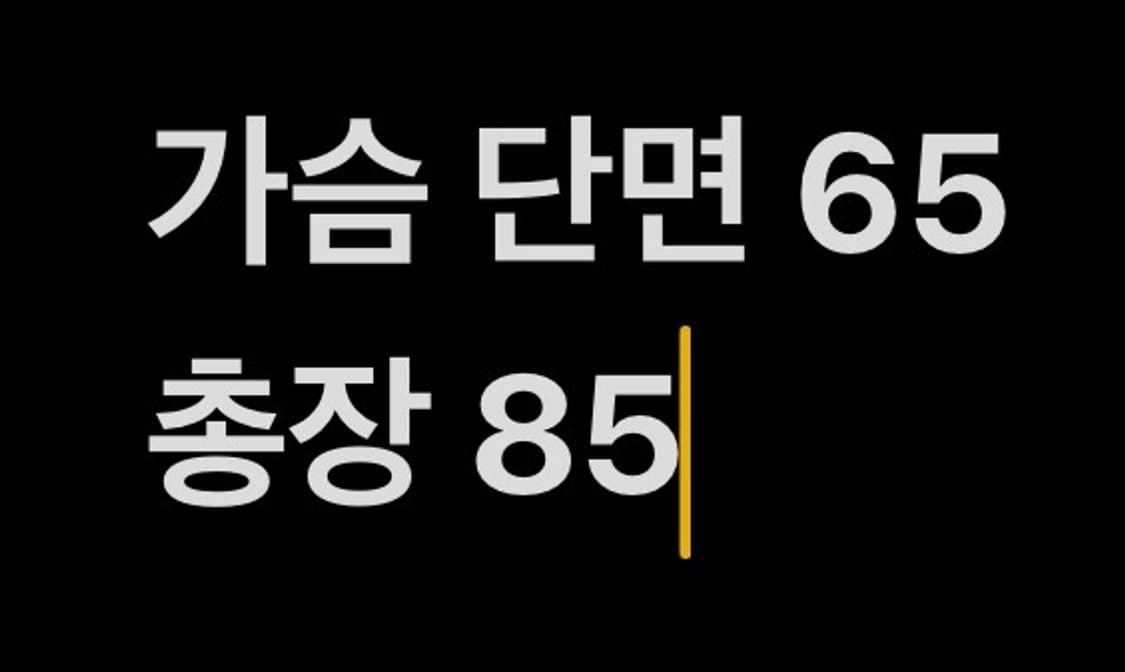 [정품/S] LMC 신슐레이트 몬스터파카 b14 상품이미지9