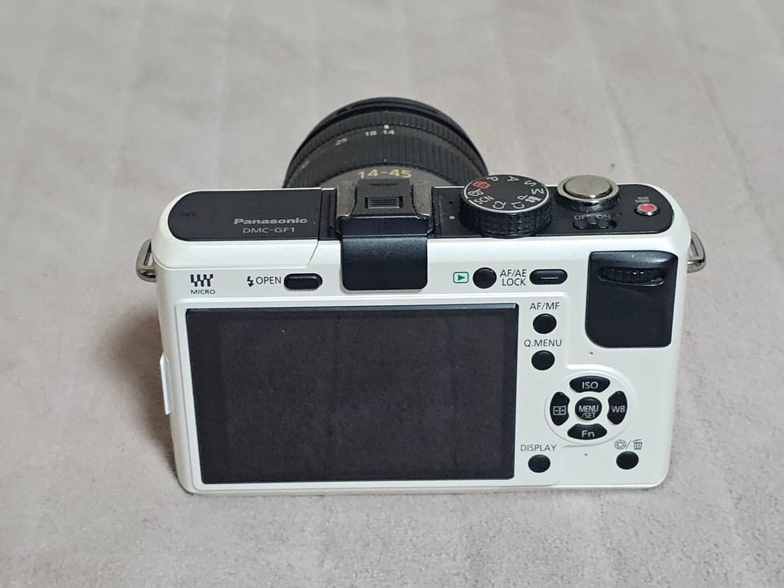 파나소닉 루믹스 GF1 미러리스 카메라 상품이미지5