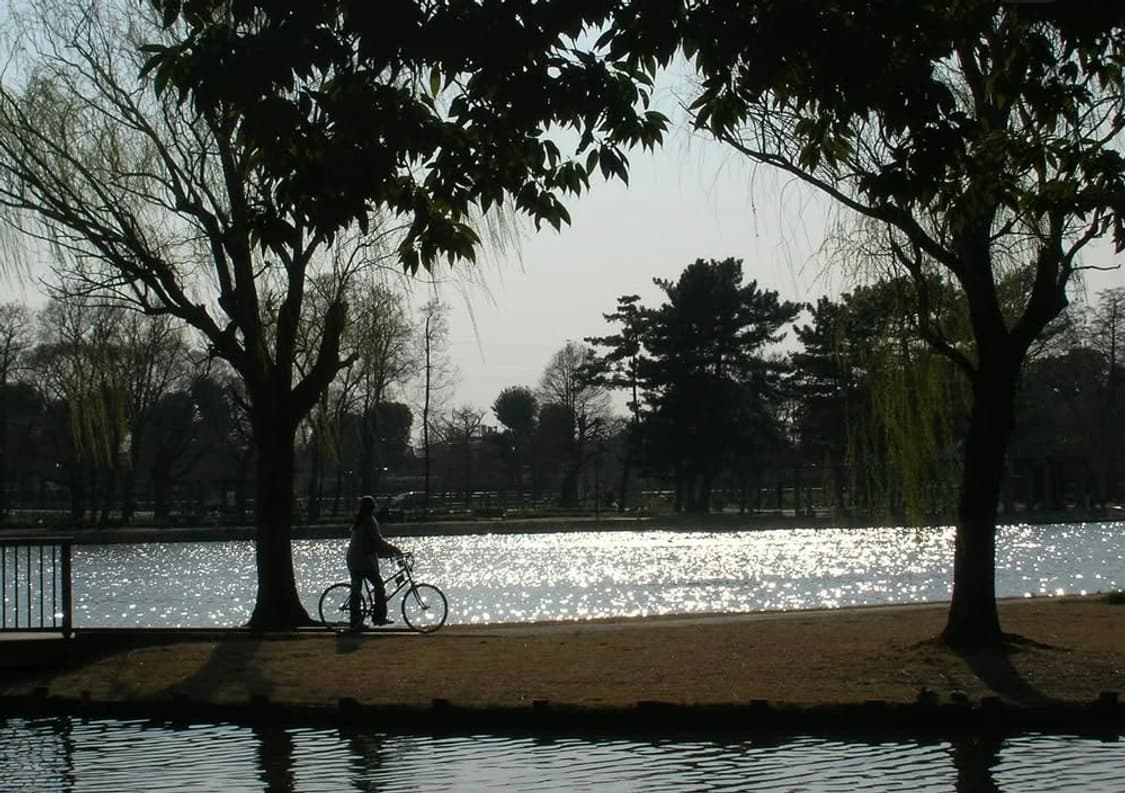 미니똑딱이🌟 니콘 쿨픽스 5600 🍒 상큼한 감성샷 미니디카✨ 상품이미지7