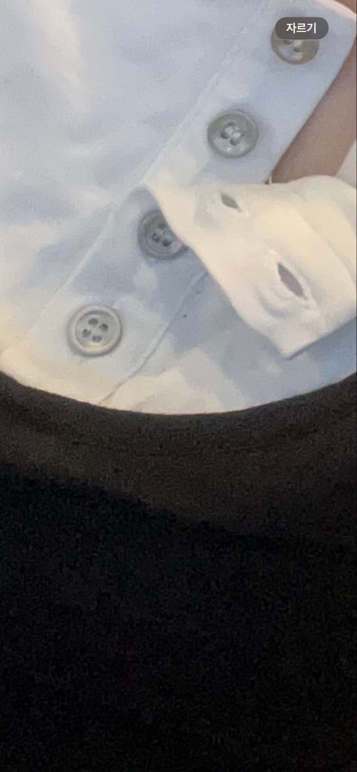 인앤양인하모니  상품이미지2