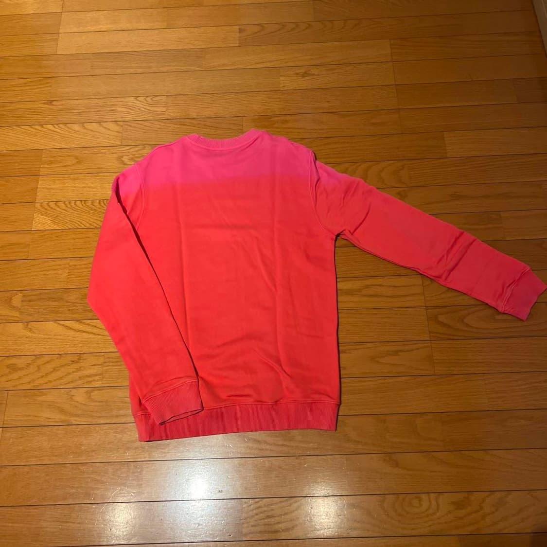 rafsimons 라프시몬스 14ss 그라데이션 맨투맨 mtm 상품이미지2