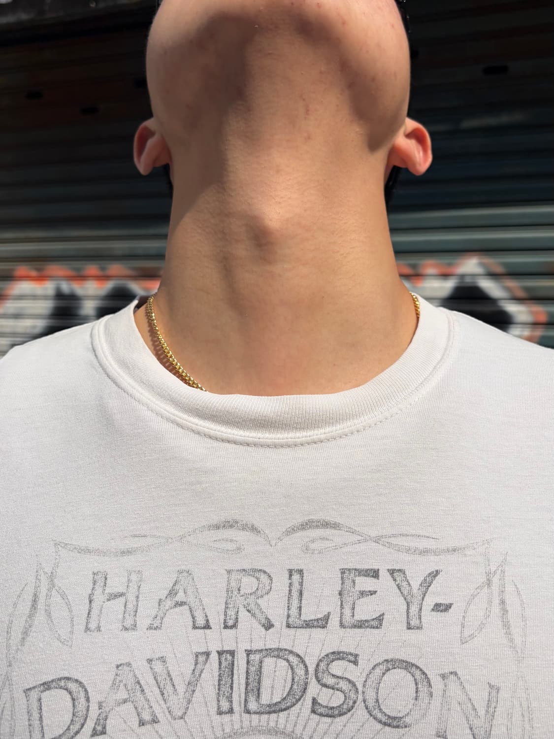 Harley Davidson Central Texas sleeve 상품이미지7