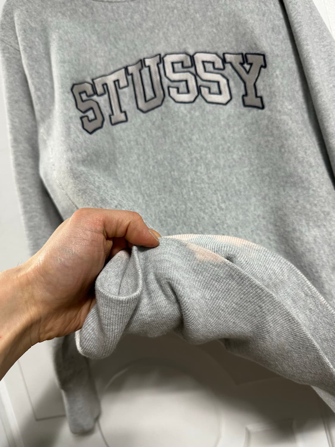 스투시 챔피온 리버스위브 맨투맨 상품이미지4