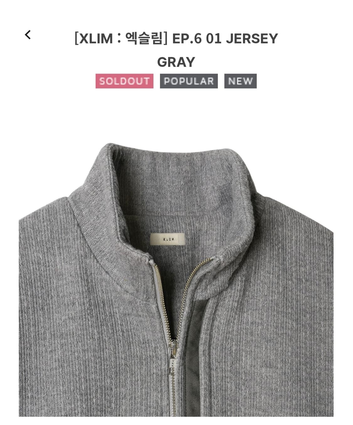 XLIM EP6 JERSEY GRAY 상품이미지3