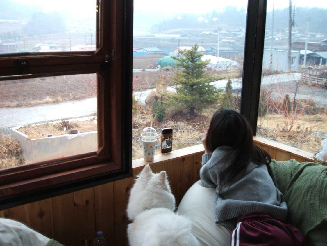 후지필름 파인픽스f450 디카 상품이미지9