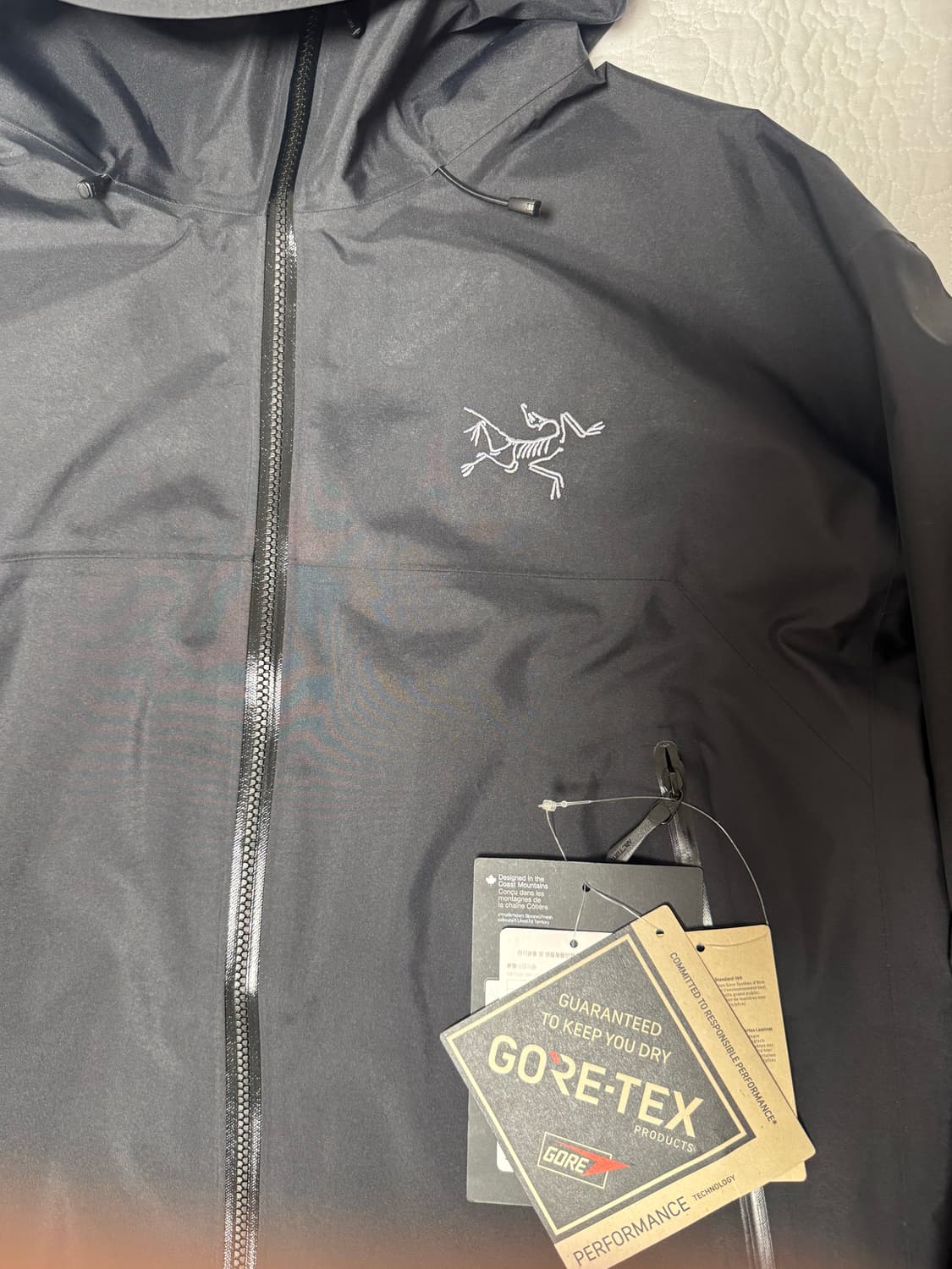 아크테릭스 고어텍스 베타 sl l 상품이미지2