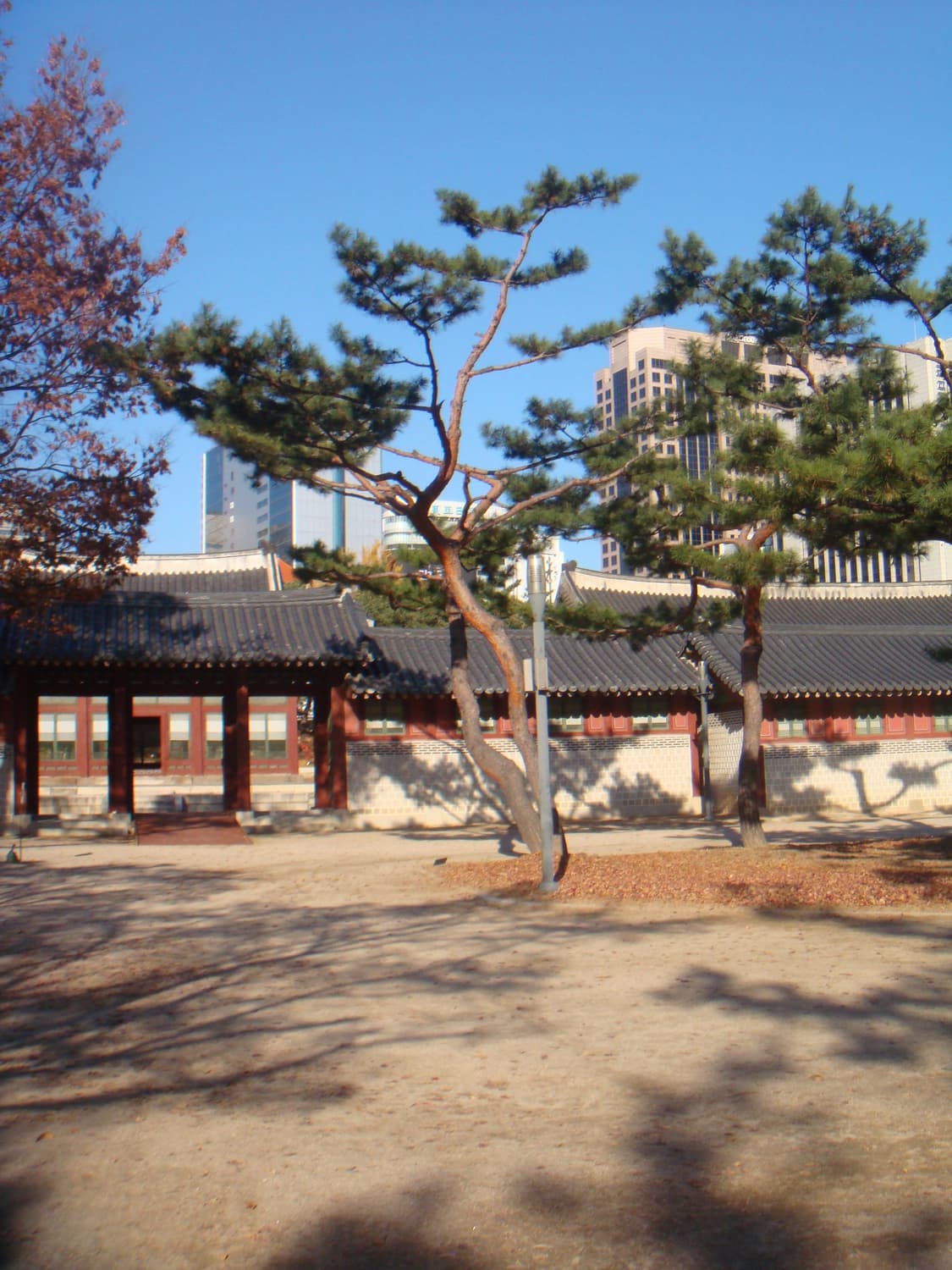 소니 사이버샷 dsc-t2 (작례 O) 상품이미지6