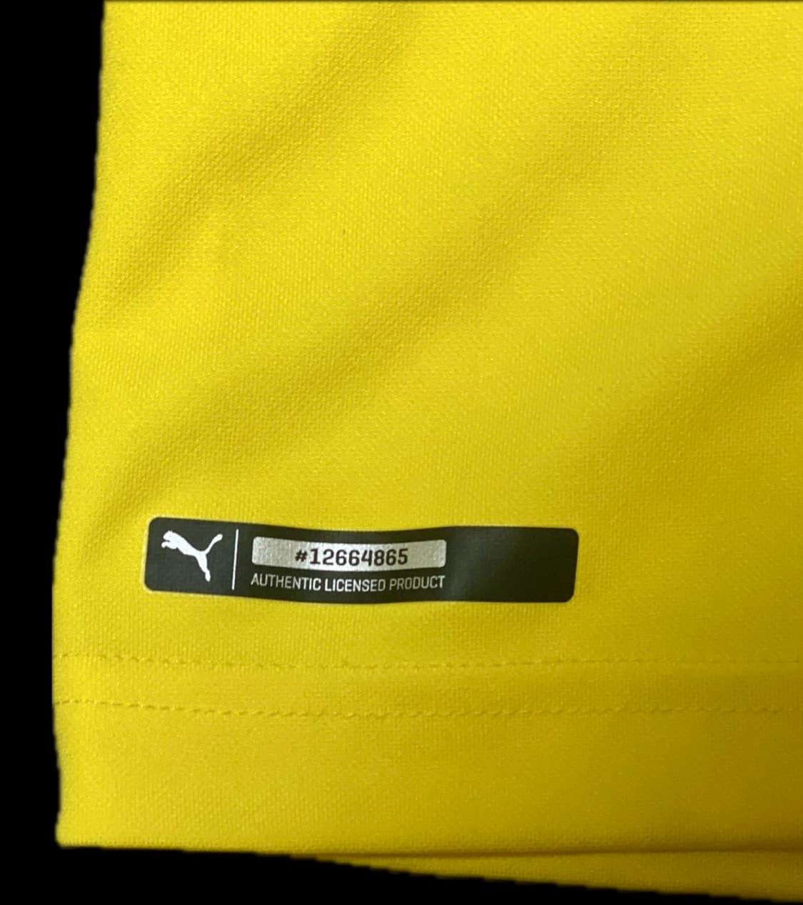 18/19 Dortmund (Home) 산초 (L) 상품이미지6