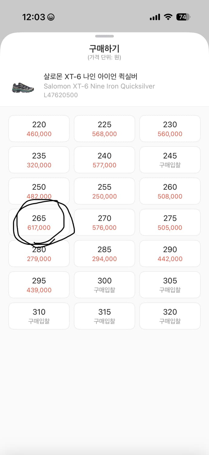 Salomon XT-6 Nine Iron Quicksilver 265 상품이미지8