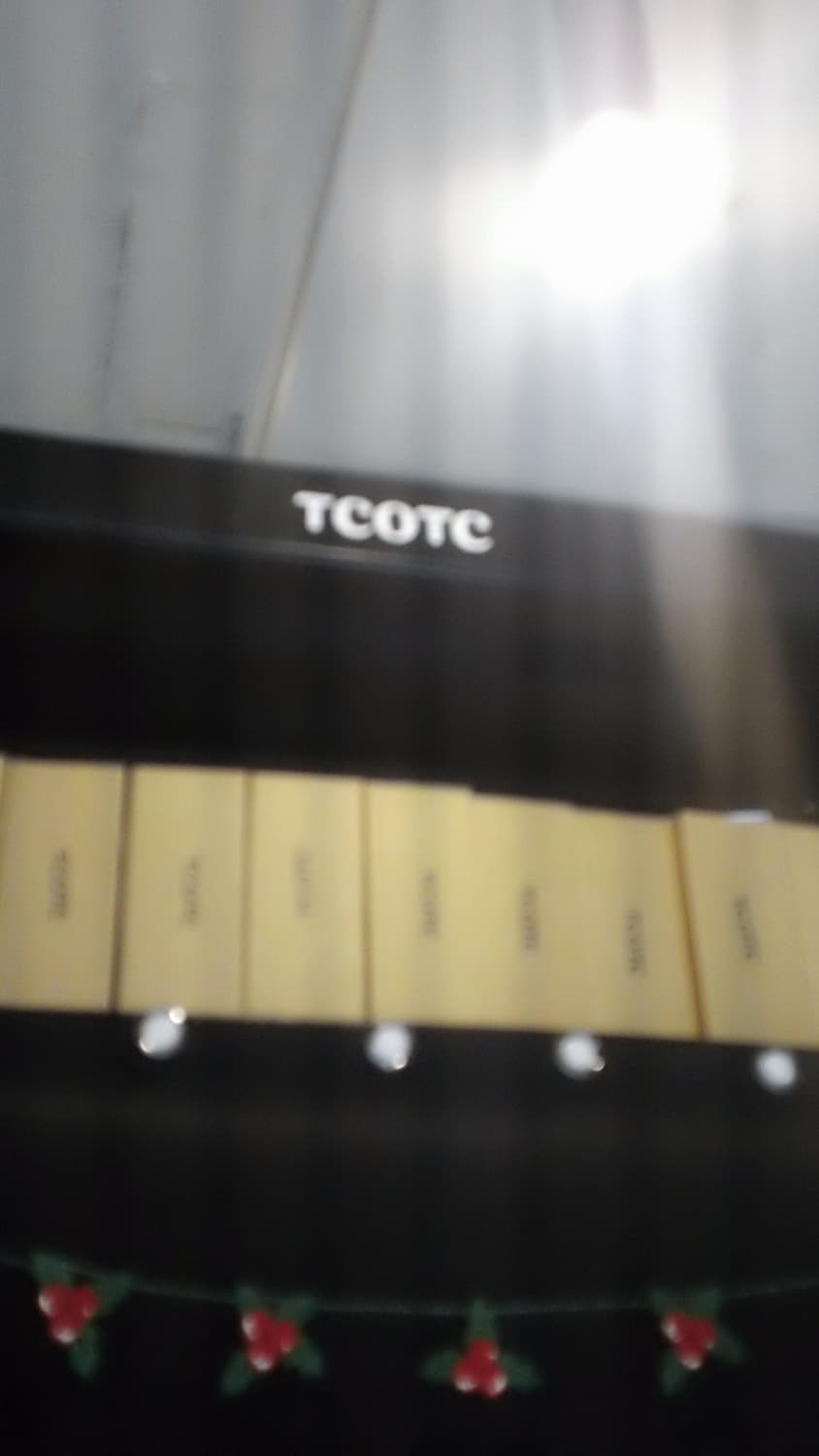 Sony Bloggie MHS-TS20 Black 상품이미지3