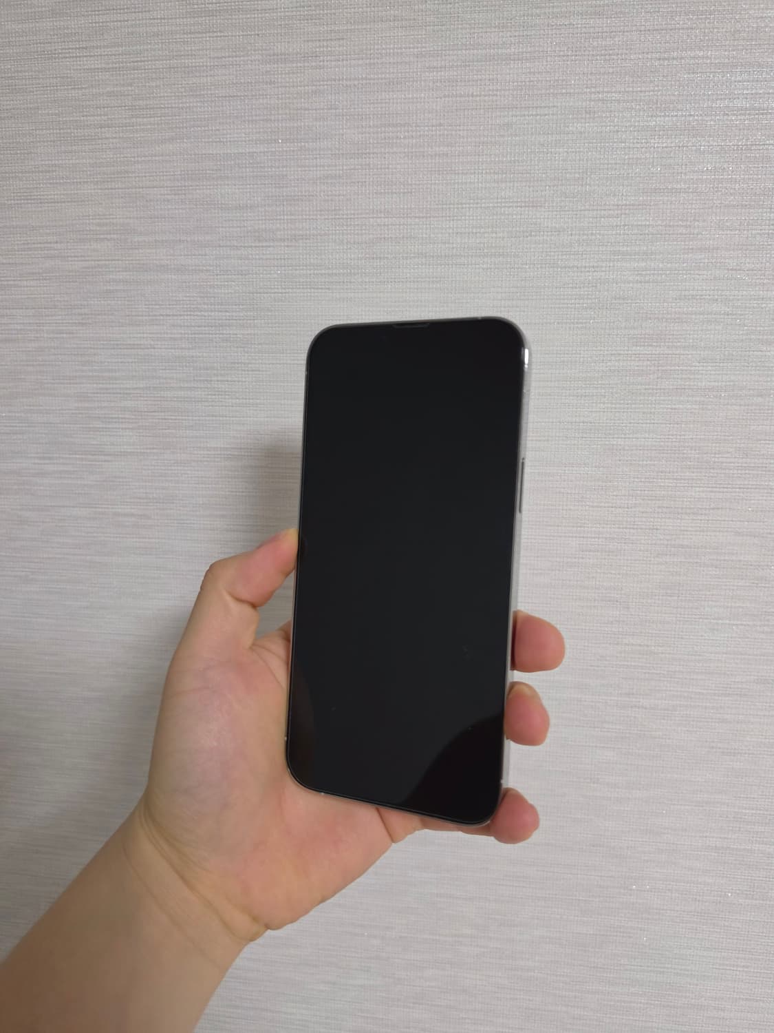 판매)아이폰 13프로맥스 256기가 실버 자급제 상품이미지1